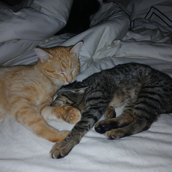 For Eden - Picture 1 of 1